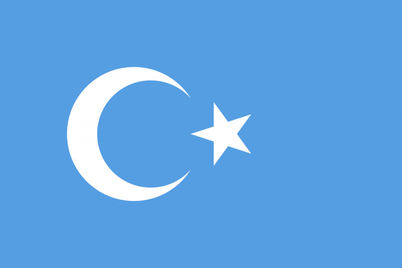 Doğu-Türkistan-Bayrağı